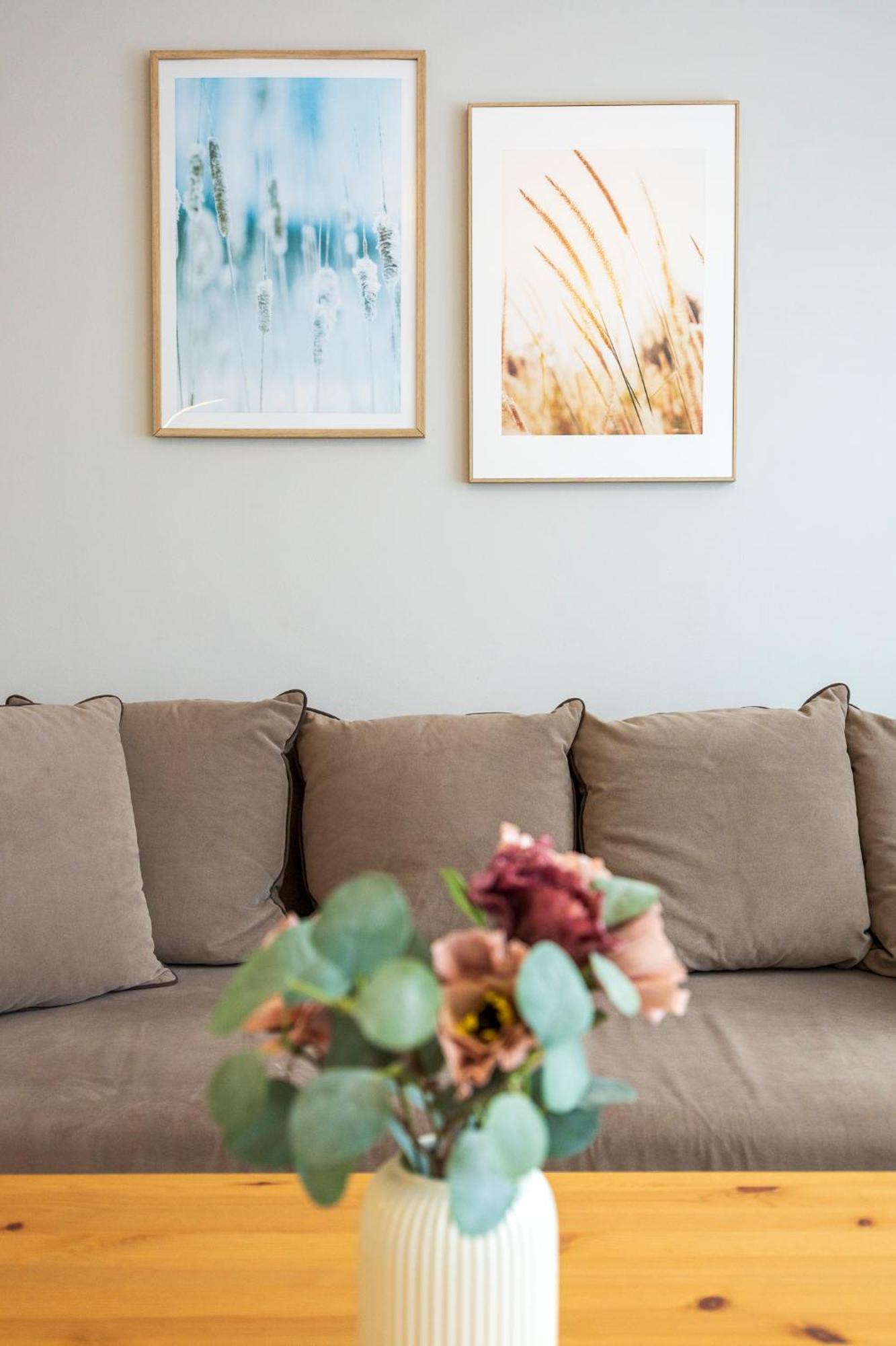 Apartament Reymonta 15 Surfingbird كولوبرزيغ المظهر الخارجي الصورة
